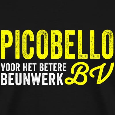 Picobello BV Oldehove